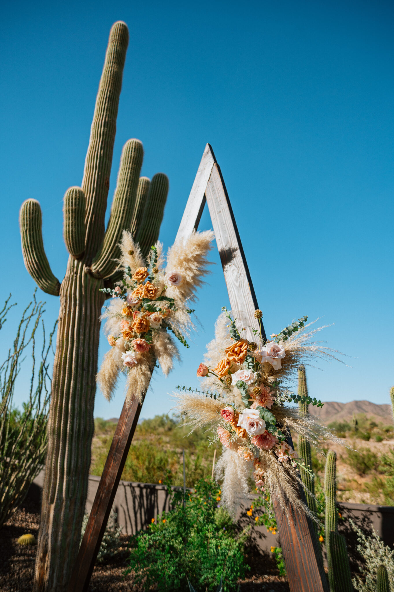 The Willow Wedding Venue & Events - Surprise Arizona